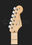 Стратокастер Fender AM STD HSS Strat Shaw MN 3TS