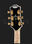 Джазовая гитара Gibson Citation NA