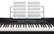 Цифровое пианино Alesis Coda Pro