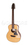 Гитара иной формы Caraya P301210