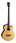 4-струнная полуакустическая бас-гитара Cort AB850F-NAT-BAG