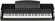 Цифровое пианино Orla CDP 10 Bk